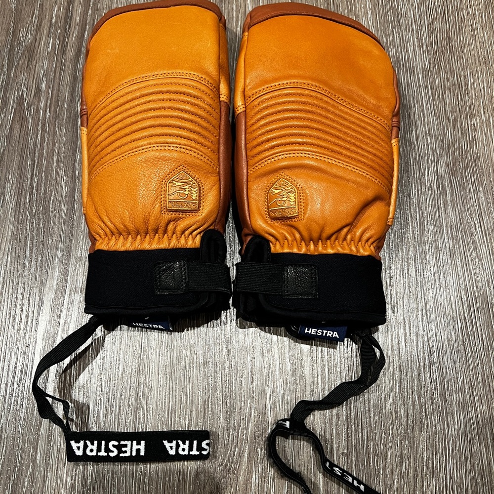 Hestra Winter Gloves